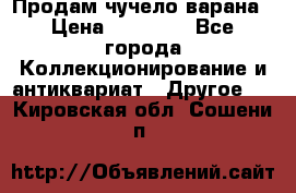 Продам чучело варана › Цена ­ 15 000 - Все города Коллекционирование и антиквариат » Другое   . Кировская обл.,Сошени п.